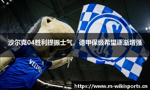 沙尔克04胜利提振士气，德甲保级希望逐渐增强